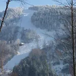 Lawine Todtnau