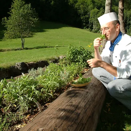 Hotel Lawine Todtnau