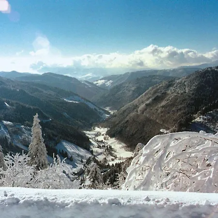 Lawine 3*