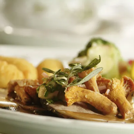 Hotel Lawine Todtnau