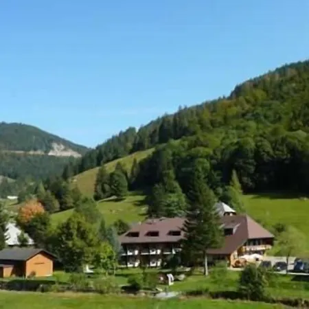 Lawine