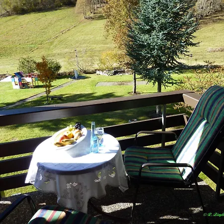 Hotel Lawine Todtnau