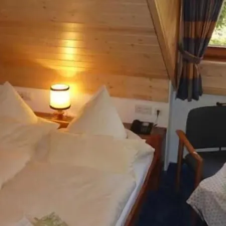 Lawine Hotel 3*