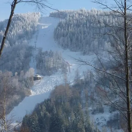 Lawine Todtnau