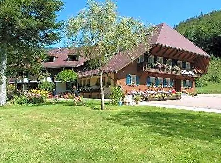 Lawine Otel Todtnau