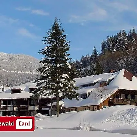 Otel Lawine Todtnau