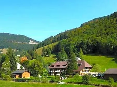 Otel Lawine Todtnau