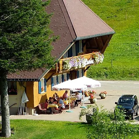 Lawine 3*