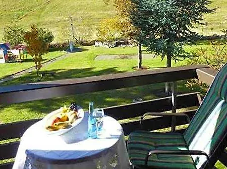 Lawine 3* Todtnau