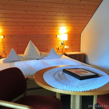 Lawine Hotel 3*
