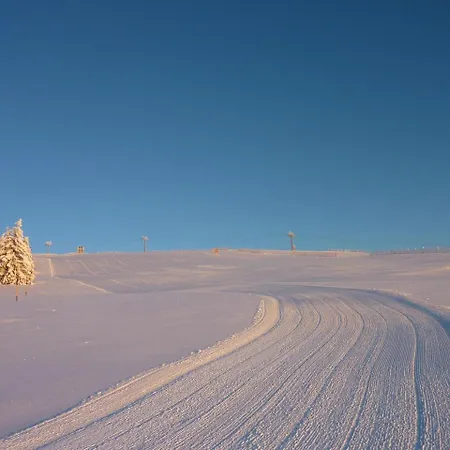 Hotel Lawine Todtnau