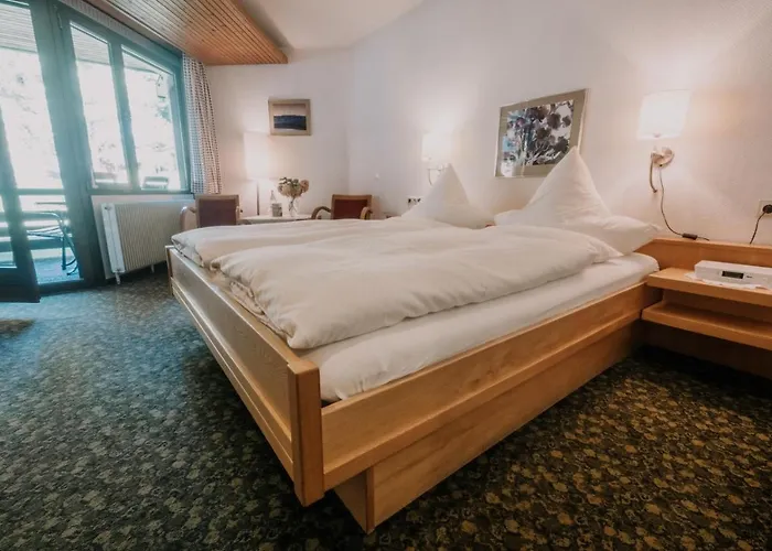 Lawine Ξενοδοχείο