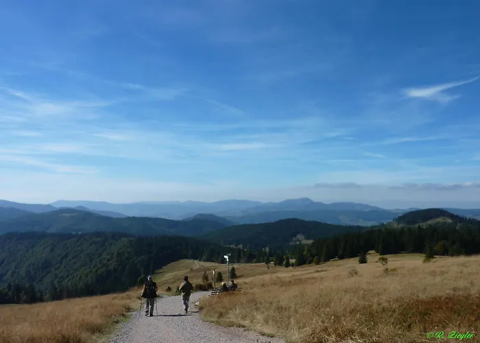 Ξενοδοχείο Lawine Todtnau