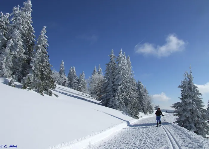 Ξενοδοχείο Lawine