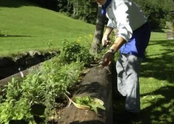 Lawine Ξενοδοχείο Todtnau