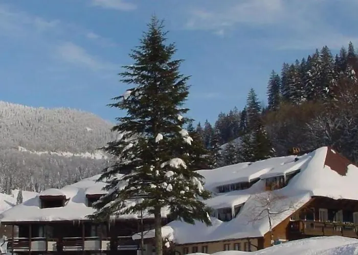 Lawine Ξενοδοχείο