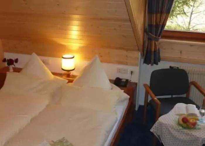 Lawine Ξενοδοχείο 3*