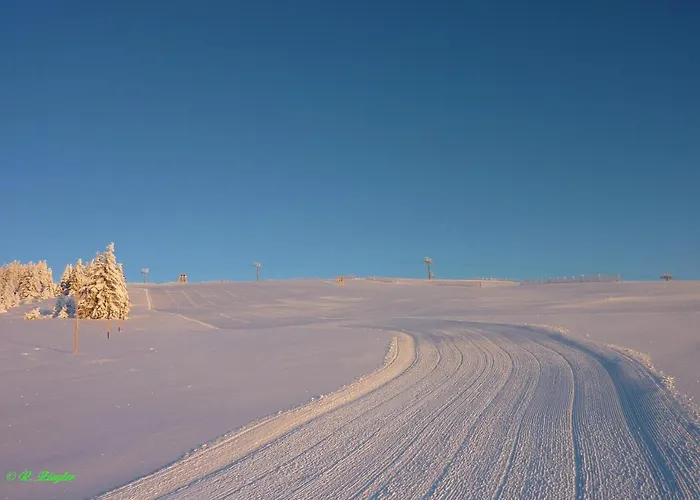 Ξενοδοχείο Lawine Todtnau